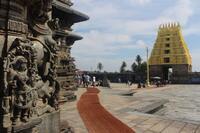 Chennakeshava temple, Beluru, Yali - the mythical animal