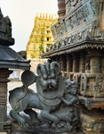 Beluru Chennakeshava temple, Hoysala symbol of a man named Sala slaying a lion