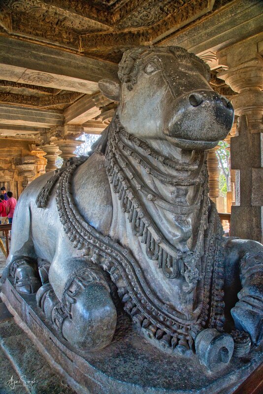 Monolithic Nandi in the southern entrance facing the Hoysaleshwara Shiva Linga - 41