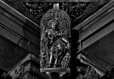 Chennakeshava temple, Beluru, A parrot seated on the arm of a madanika, p51