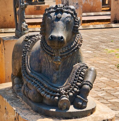 Sculpture of Nandi - preserved by ASI in the museum - 125